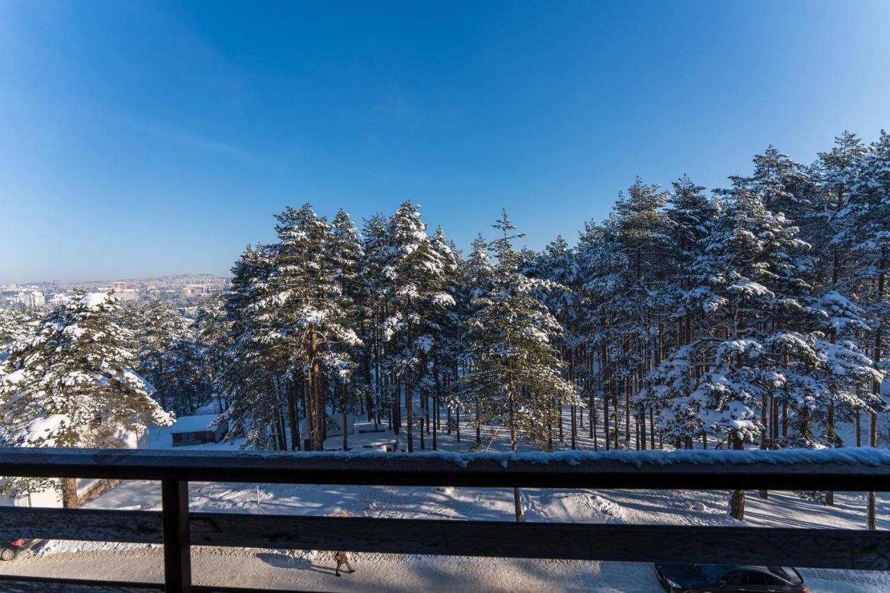 Mount La Boheme Apartment Zlatibor